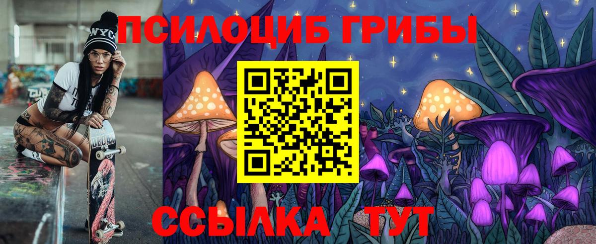 Калуга  Псилоцибиновые грибы прущие грибы  Вход с VPN 